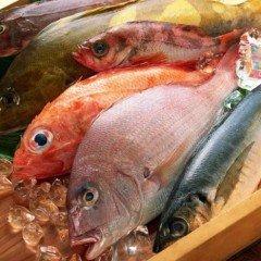 Manipulador de Alimentos. Pescados y Derivados