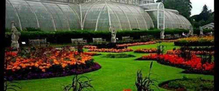 Curso gratis Mantenimiento y manejo de invernaderos. AGAH0108 - Horticultura y floricultura online para trabajadores y empresas