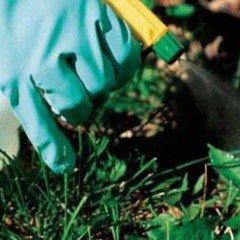 Aplicación de métodos de control fitosanitarios en plantas, suelo e instalaciones. AGAO0208 - Instalación y mantenimiento de jardines y zonas verdes
