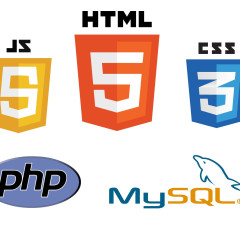 Programador Web con PHP + JavaScript + MySQL. Nivel Profesional