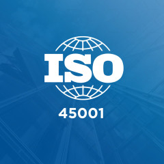 Técnico Profesional en Auditoría de Sistemas de Prevención de Riesgos Laborales. ISO 45001