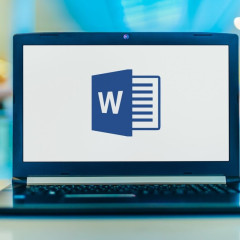 Certificación It en Microsoft Word 2019 + VBA para Word: Macros and Graphics Expert