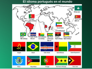 Curso Intensivo Portugués B2. Nivel Oficial Marco Común Europeo