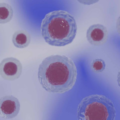 UF2081 Obtención, aislamiento y confirmación de poblaciones celulares utilizando las técnicas adecuadas