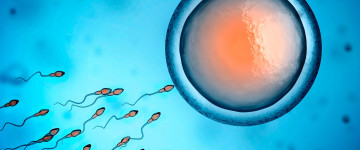 Especialista en Ley de Reproducción Asistida: Investigación y Técnicas Innovadoras de Reproduccion Asistida
