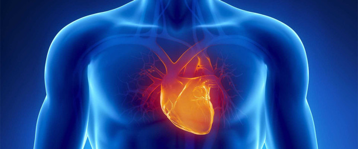 Curso gratis Especialista en Urgencias Cardiológicas online para trabajadores y empresas