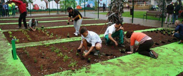 Curso gratis MF0522_1 Operaciones Básicas para el Mantenimiento de Jardines, Parques y Zonas Verdes online para trabajadores y empresas