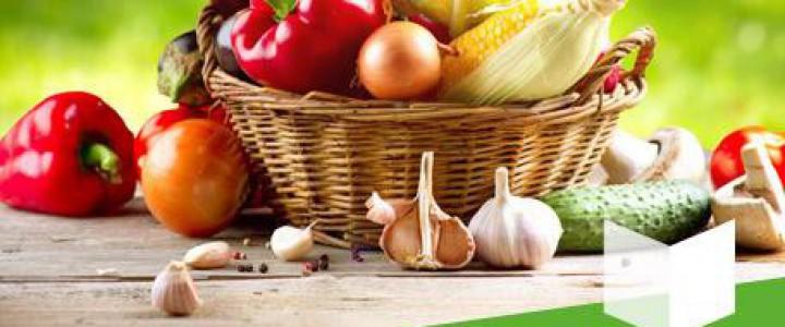 Curso gratis Norma IFS de Seguridad Alimentaria (International Food Standar) v.6 online para trabajadores y empresas