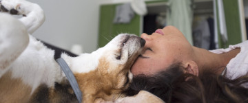 Especialista en Inteligencia Emocional aplicada al Adiestramiento Canino