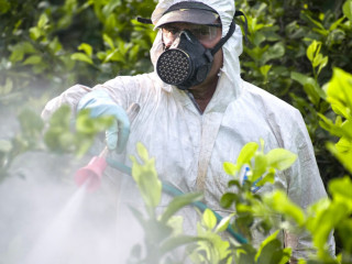 Prevención en Pesticidas Organofosforados