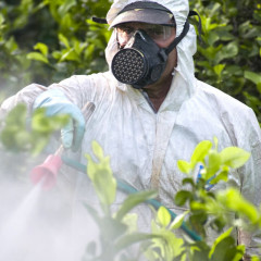 Prevención en Pesticidas Organofosforados