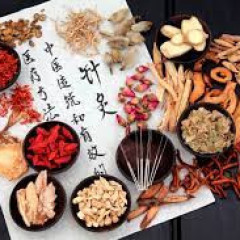 Especialista en Medicina Tradicional China