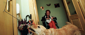 UF2693 Conocimiento y Elaboración de Programas de Adiestramiento de Perros de Aviso para Personas con Discapacidad y Crisis Recurrentes con Desconexción Sensorial
