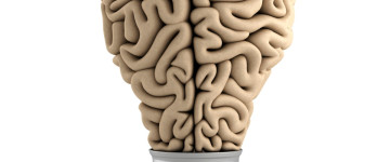 Curso en Neuroliderazgo en las Organizaciones: Inteligencia Emocional y Desarrollo de Capacidades