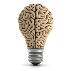 Curso en Neuroliderazgo en las Organizaciones: Inteligencia Emocional y Desarrollo de Capacidades