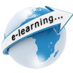 Técnico en Planificación de la Formación. Gestión de Subvenciones y E-learning