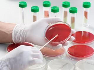 UF0224 Preparación de Reactivos y Muestras para Análisis Microbiológico