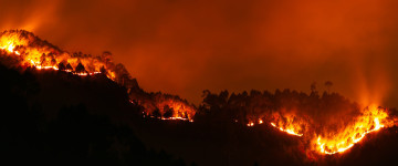 UF0702 Prevención de Incendios Forestales