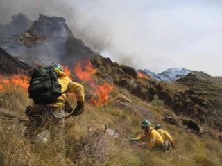 UF2347 Operaciones de Extinción de Incendios Forestales