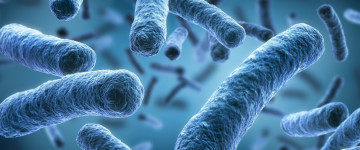 Legionella: Focos de Contaminación