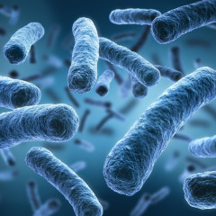 Legionella: Focos de Contaminación
