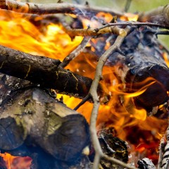 Curso Práctico de los Delitos de Incendio y la Investigación de sus Causas