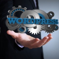Curso Online de Creación de Webs 2.0 con Wordpress: Práctico