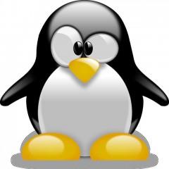 Curso Superior Linux. Nivel Avanzado