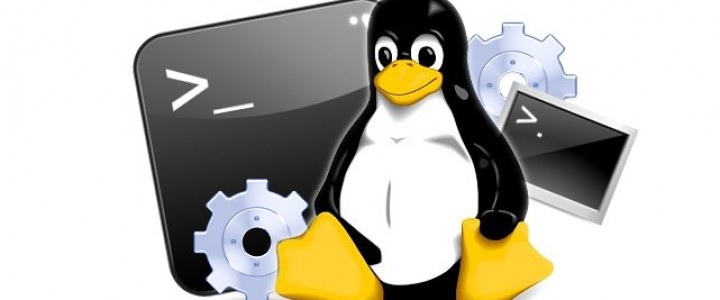 Curso gratis Especialista TIC en Linux Básico + Linux Avanzado online para trabajadores y empresas