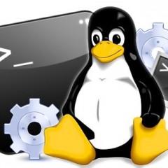 Especialista TIC en Linux Básico + Linux Avanzado