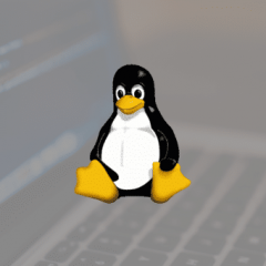 Primeros Pasos en la Administración de Linux