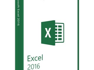 Experto en Microsoft Excel 2016