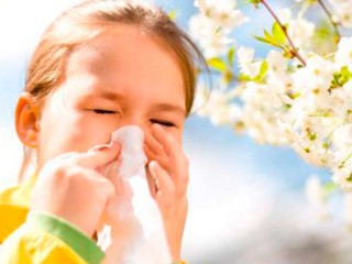Curso de Alergia y Homeopatía