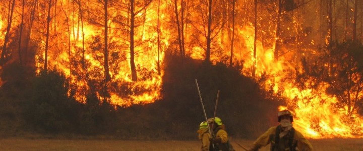 Curso gratis MF1965_2 Extinción de Incendios Forestales online para trabajadores y empresas
