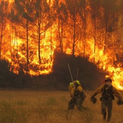 MF1965_2 Extinción de Incendios Forestales