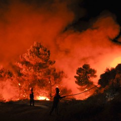 Técnico Profesional en Investigación de las Causas de Incendios Forestales