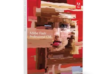 Especialista TIC en Diseño con Adobe Professional Flash CS6