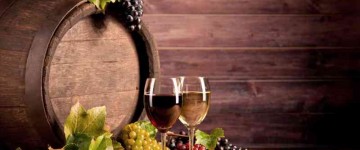 INAH0109 Elaboración de Vinos y Licores