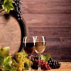 INAH0109 Elaboración de Vinos y Licores