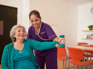 Experto en Rehabilitación Funcional del Anciano para Terapeutas Ocupacionales