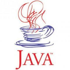 Experto en Desarrollo de Componentes de Negocio con Tecnología Empresarial Java Beans