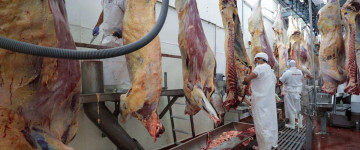 UF0695 Manipulación de Alimentos, Seguridad y Protección Ambiental de Mataderos