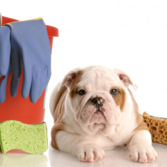 MF1725_2 Prevención de Riesgos Laborales Asociados al Manejo de Animales y Productos Tóxicos y Peligrosos