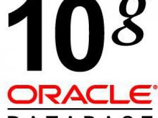 Gestión de bases de datos con Oracle 10G