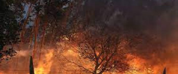 MF1967_3 Medios Humanos y Materiales en Incendios Forestales y Contingencias en el Medio Natural y Rural