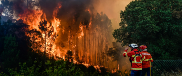 SEAD0511 Coordinación de Operaciones en Incendios Forestales y Apoyo a Contingencias en el Medio Natural y Rural
