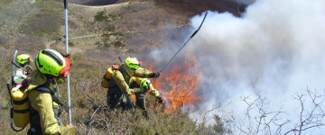 UF2366 Organización y Gestión de los Medios Humanos y Materiales en Incendios Forestales y Contingencias en el Medio Natural y Rural