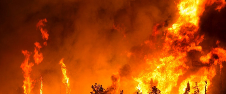UF2367 Coordinación, Mando y Control de las Intervenciones en Incendios Forestales y en Contingencias en el Medio Natural y Rural