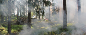 UF2368 Sistemas para la Vigilancia y Detección de Incendios Forestales