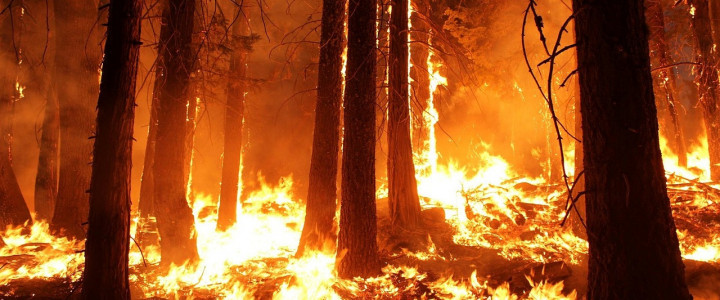 Curso gratis UF2369 Organización y Control de Actuaciones de Extinción de Incendios Forestales online para trabajadores y empresas